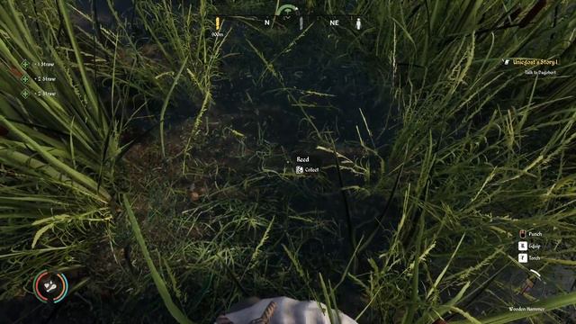 Medieval Dynasty - Tutorial - Actually Making Fast Money смотреть онлайн