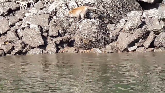 Лангкави .Малайзия . Ноябрь 2018 смотреть онлайн