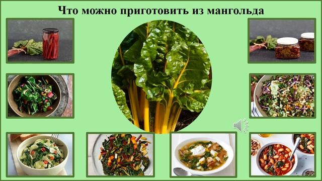 МАНГОЛЬД, или листовая свёкла, или.. смотреть онлайн
