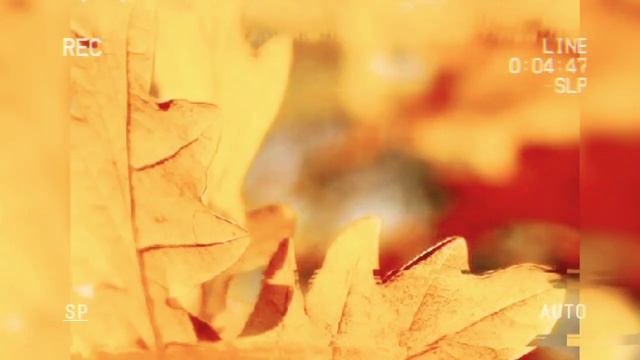 Добрый осенний вечер! смотреть онлайн