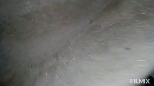 Schmitz. Когда не работает амортизатор. Чернигов d-tolik 22.09.21