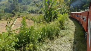 Шри Ланка. Чайные плантации. 9-арочный мост Изумительная красота