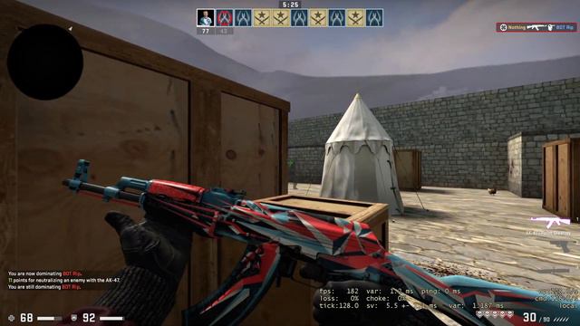 CSGO AK-47 ( Point Disarray ) Gameplay