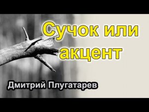 Сучок или акцент / Плугатарев Дмитрий