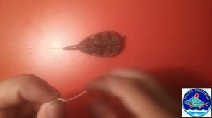 донная снасть монтаж флэт ,  для ловли карася, карпа, леща.