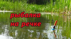 НЕ ЖДАЛ ЭТИХ РЫБ! рыбалка 20 июня 2022