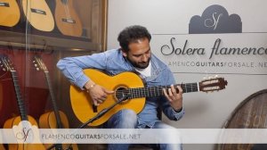 Diego del Morao por bulerias en Solera Flamenca