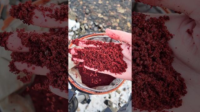ГОТОВАЯ ПРИКОРМКА на рыбалке зимой