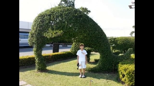 Таиланд Паттайа Острова смотреть онлайн