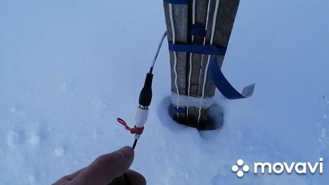 Температура почвы в корневой зоне винограда. Восточная Сибирь, февраль 2022 года. смотреть онлайн