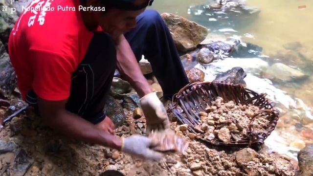 HUTAN TERINDAH DI DUNIA.! MENYIMPAN EMAS HARTA KARUN YANG BANYAK | LOOKING FOR TREASURE IN THE WATE смотреть онлайн