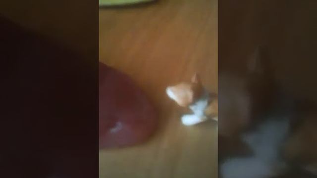 Мультик (слизень с другой планеты) часть 1