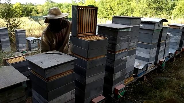 Отбор Сотового меда воздуходувка из СССР + пчелоудолитель. Альпийский улей. смотреть онлайн