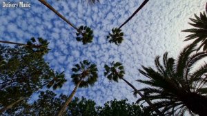 Спокойная Летняя Музыка (Регги)🌴Summer Reggae | Пляжная Тропическая Музыка🏝️Beach Island Music