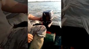 Ниссан марин 9.8