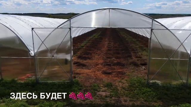 Теплицы Хайгроув. Обзор после урагана, ремонт и общая стоимость.