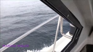 ВЛАДИВОСТОК ЭКСКУРСИЯ на ОСТРОВА