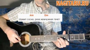 Шумит сосна - Армейская - Разбор на гитаре (аккорды в Am)