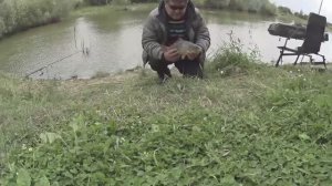 Карп на поплавок.