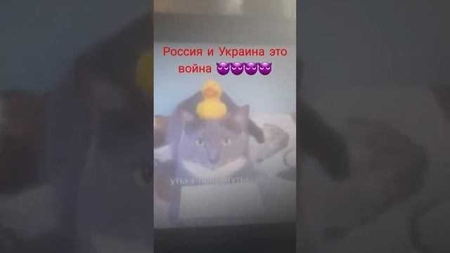 как сделать чтоб было больше просмотров