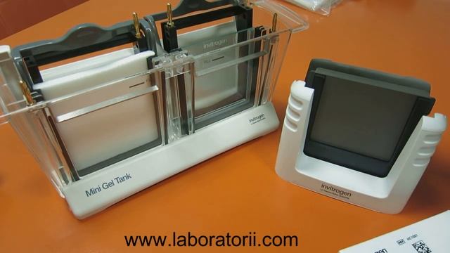 Камера для вертикального электрофореза Mini Gel Tank