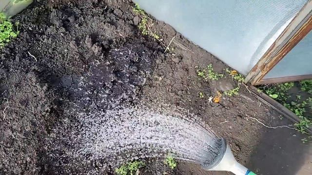 1 стакан на ведро воды и земля как новая, плодородная, здоровая, проливаю землю для большого урожая смотреть онлайн