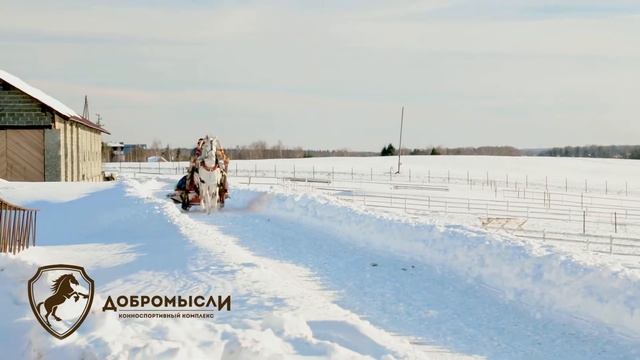 Катание на санях в Добромысли смотреть онлайн