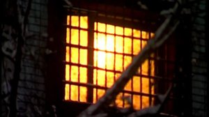 ДДТ Свобода