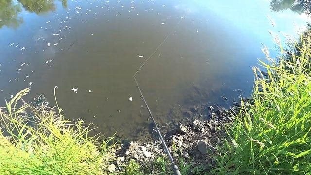 РЫБАЛКА НА СПИННИНГ/ПО СТАРЫМ МЕСТАМ/FISHING ON A SPINNING/ON THE OLD PLACE...