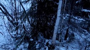 Лада Нива ТРЕВЕЛ 2021. ПОПАДОС!!! Тащит в РЕКУ на БЕЗДОРОЖЬЕ!!! Как теперь ВЫБРАТЬСЯ???