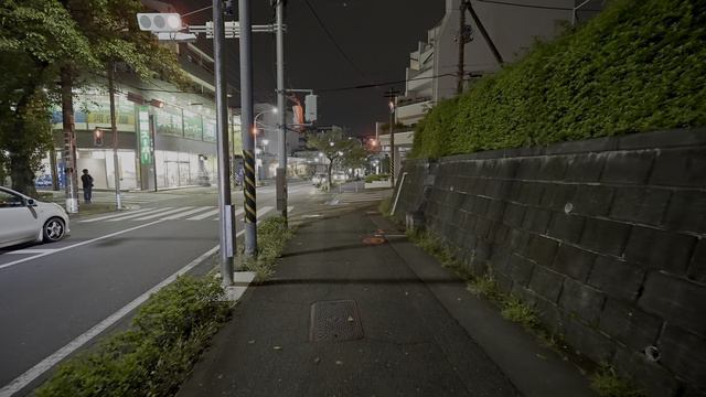 2K・ Ночной Аобадай・Прогулка по Иокогаме смотреть онлайн