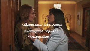 Содержание 141 серии турецкого сериала "Зимородок 2" (РФ, 2023)