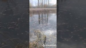 Рыбалка на щуку на реке Усманка.