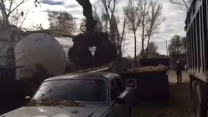 Самый быстрый и простой способ сдать машину в металл