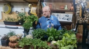 Выращиваем ЗЕЛЕНЬ ЗИМОЙ под лампами! Что посеять в ЯНВАРЕ 2022 года в комнате!