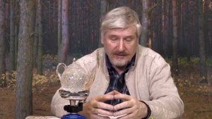 С. Савельев. В политике разумного почти нет.mp4