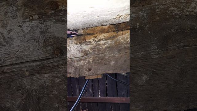 меня слышит БОГ смотреть онлайн