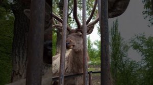 Посетили зоопарк в Казани