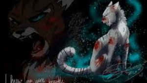 Коты воители Коршун и Искра