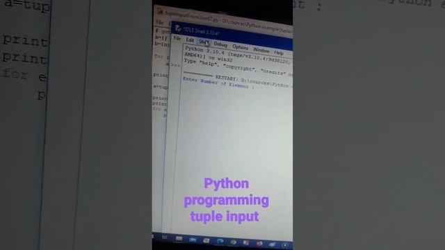 python programming tuple input from user example code udahran