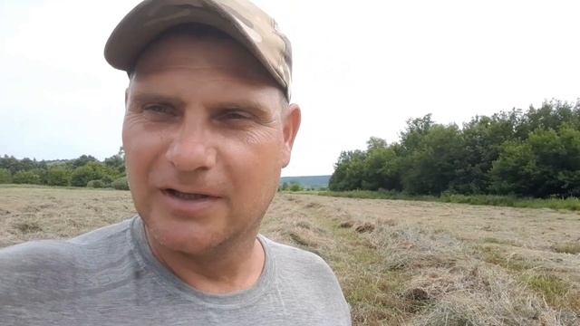 #МИНИ ГРАБЛИ# Конно- тракторные грабли и Японский конь? смотреть онлайн