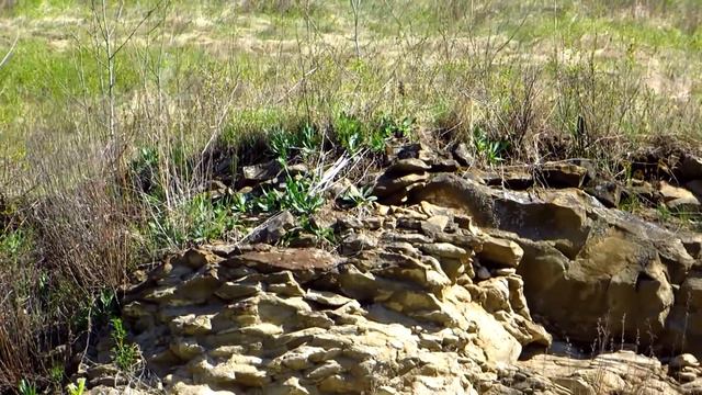 Майская Уньга смотреть онлайн