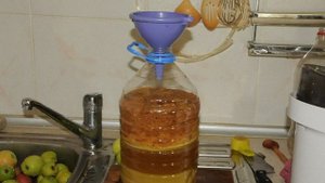 Яблочная брага