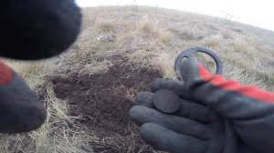 Minelab Quattro. поиск с кватро