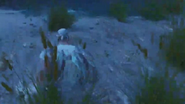 When you Visit the Swamp in Ark Ascended смотреть онлайн