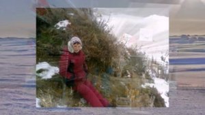 Звезда Уренгоя