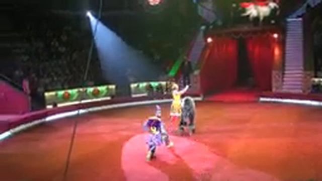 Виктория Акимова и Олег Александров, дрессура медведей (БМГЦ, Россия) смотреть онлайн