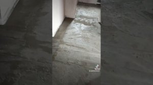 штукатурка ротбандам под обои и стяжка пола всё готово закончили