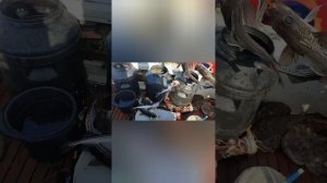 Охотское Море Рыбалка Магадан...