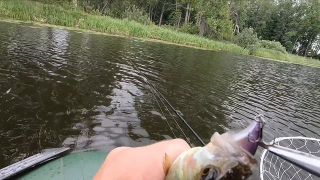 Ловля хищника на красивом озере! смотреть онлайн